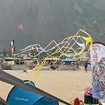 Franco E Mimma *