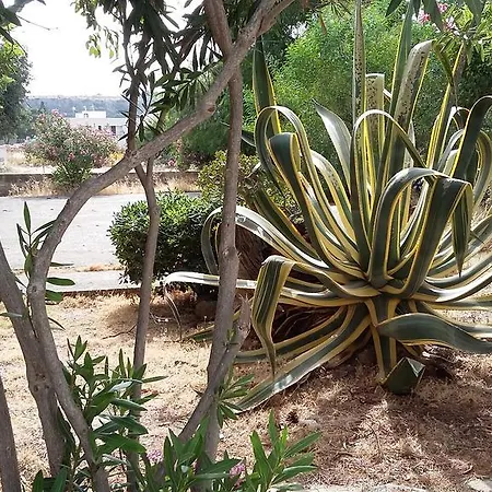 Franco E Mimma San Vito Lo Capo